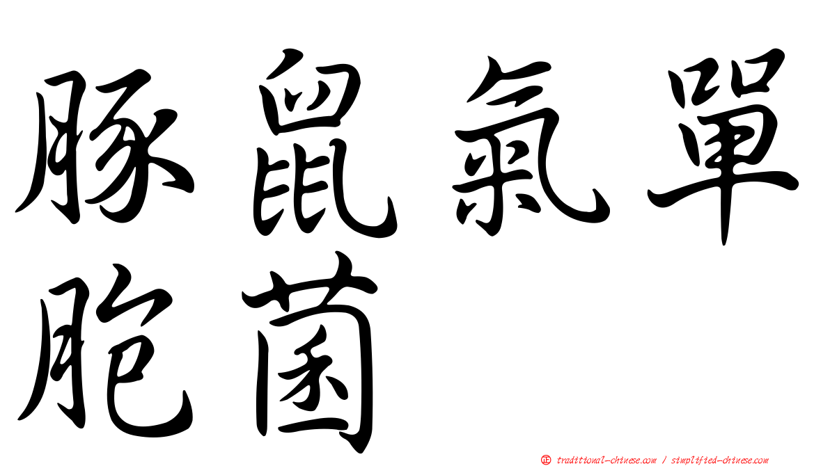 豚鼠氣單胞菌