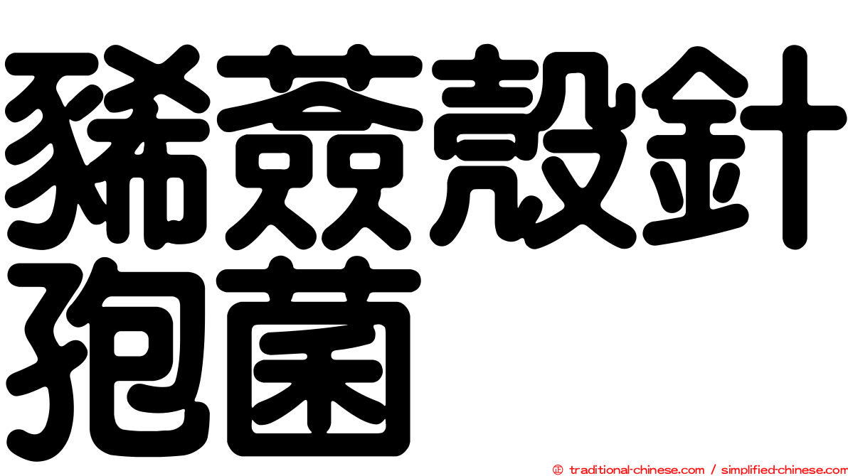 豨薟殼針孢菌