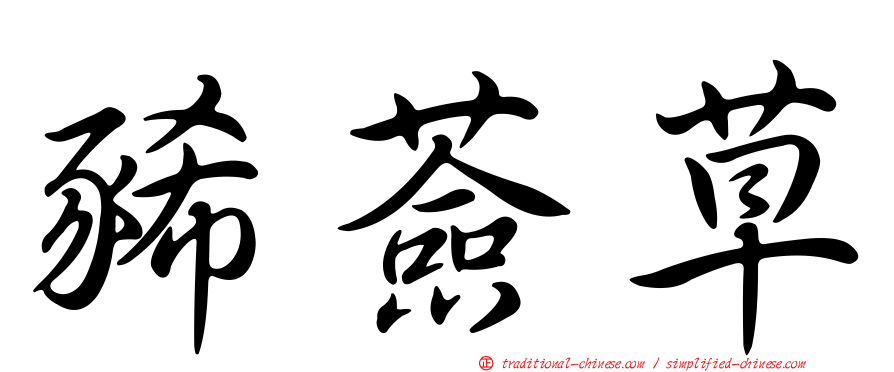 豨薟草