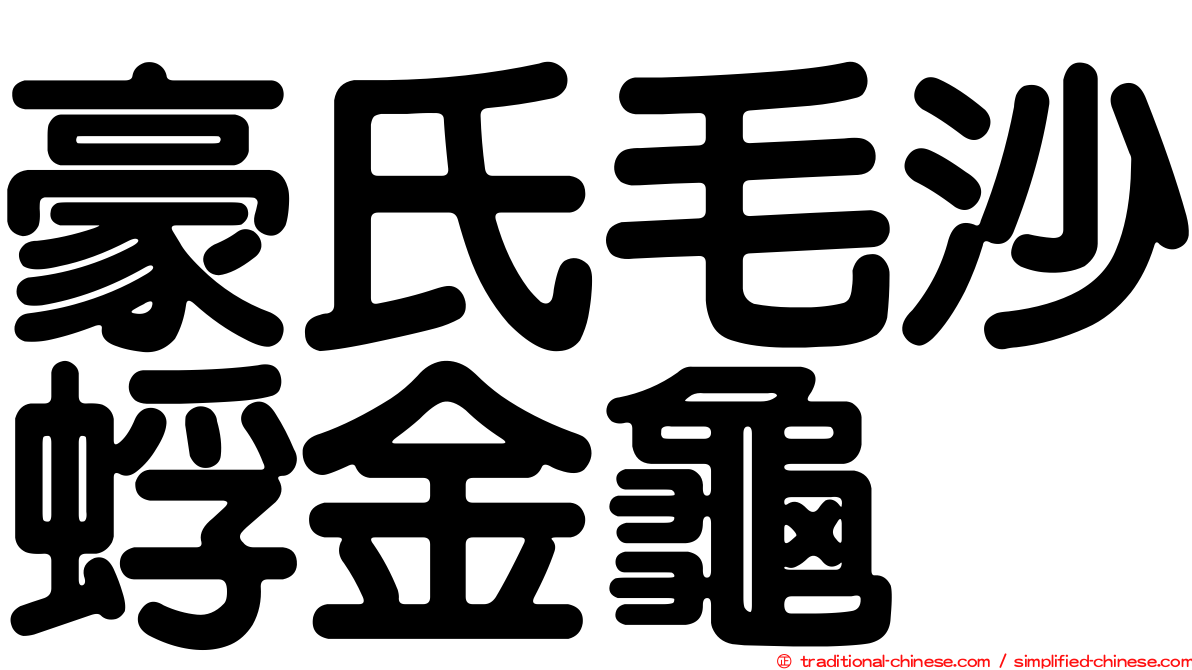 豪氏毛沙蜉金龜