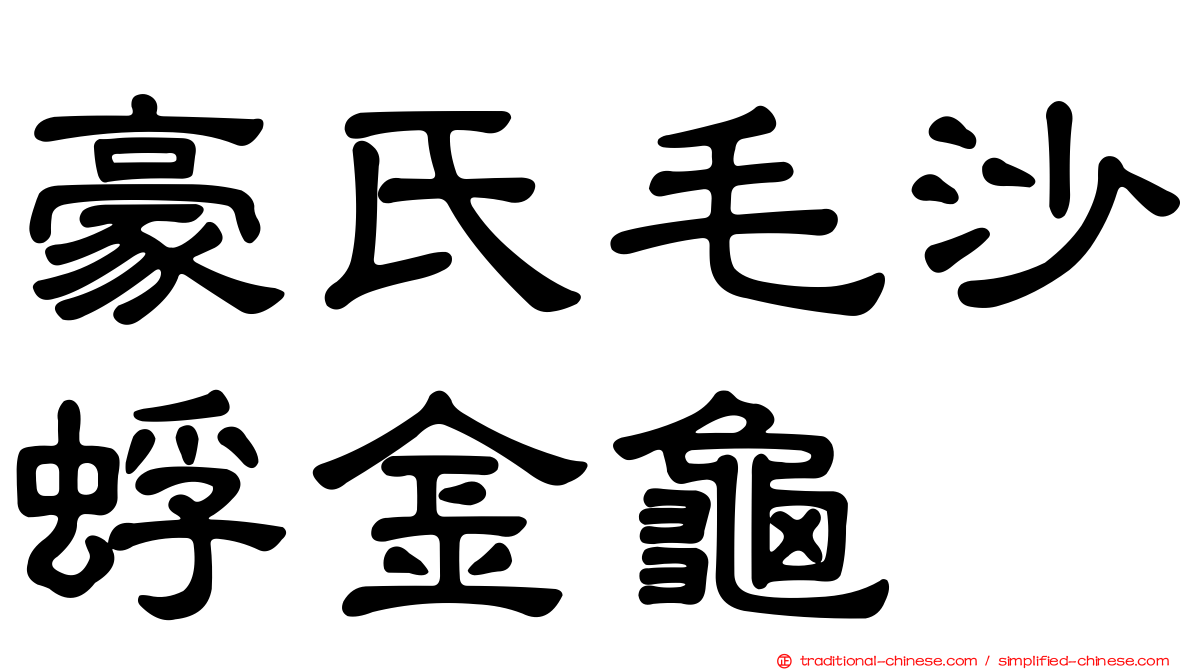 豪氏毛沙蜉金龜