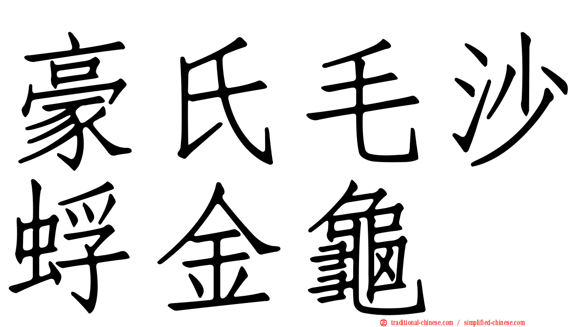 豪氏毛沙蜉金龜
