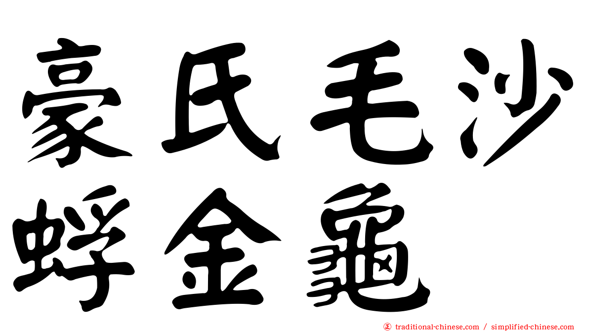 豪氏毛沙蜉金龜