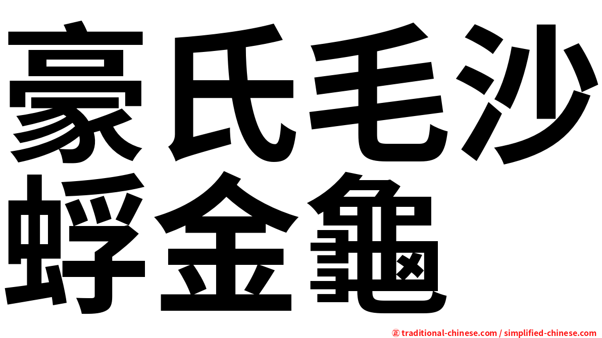 豪氏毛沙蜉金龜