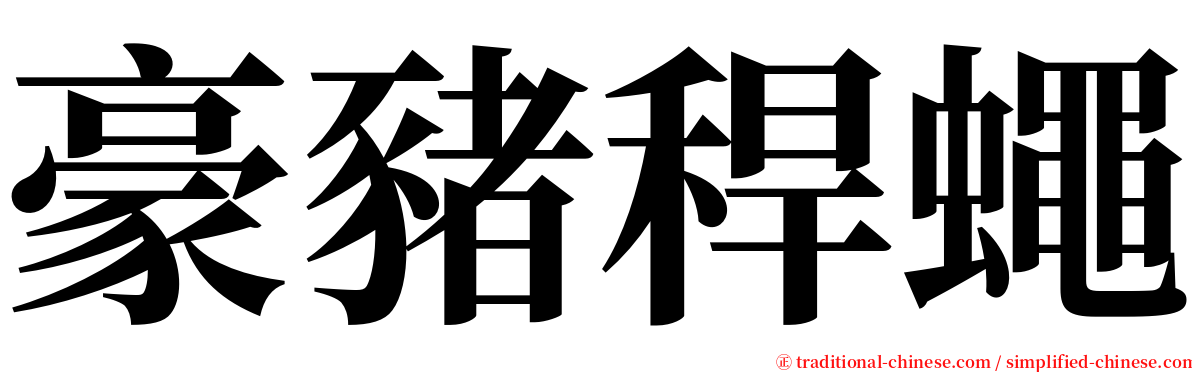 豪豬稈蠅 serif font