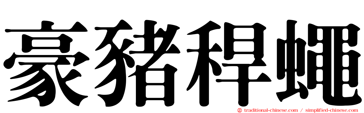 豪豬稈蠅