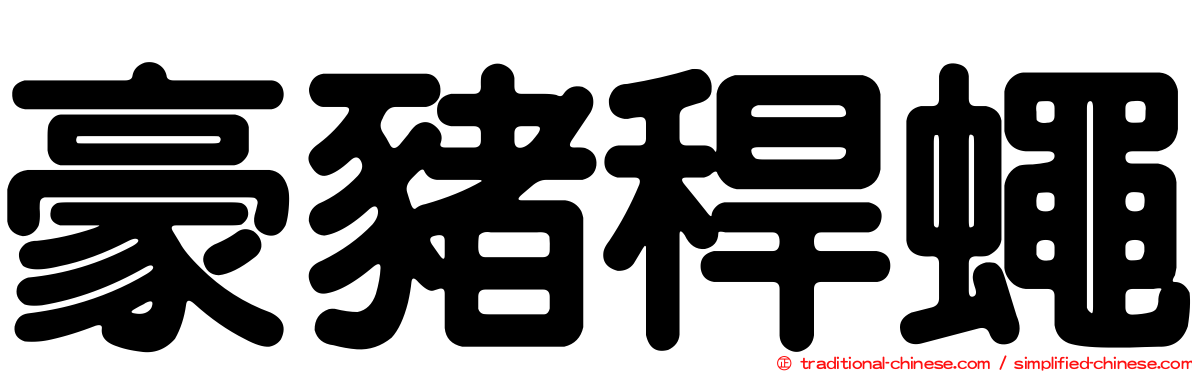豪豬稈蠅