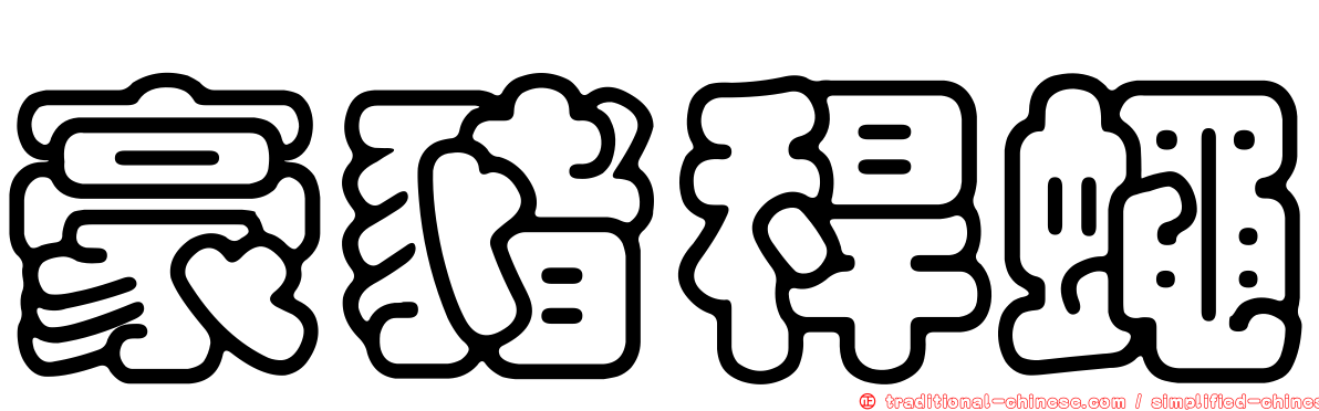 豪豬稈蠅