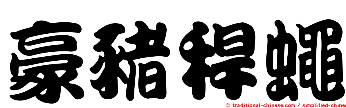 豪豬稈蠅