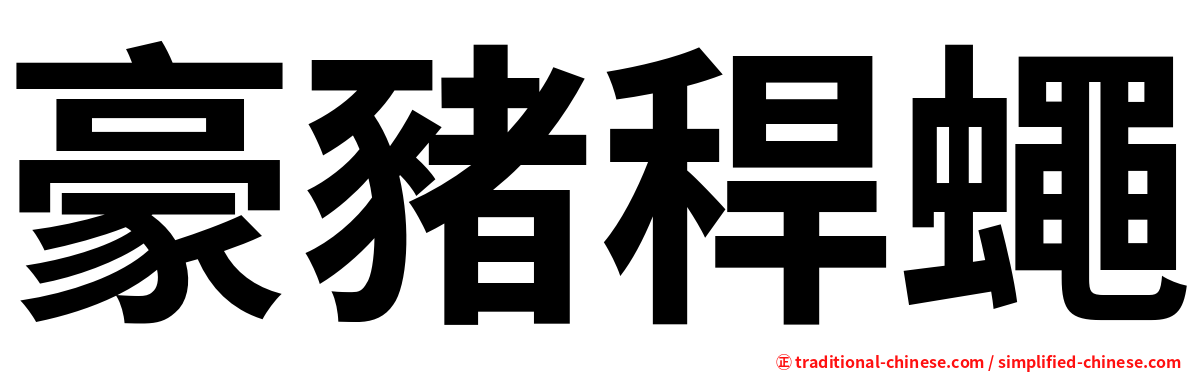 豪豬稈蠅