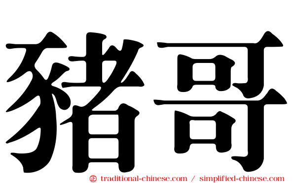 豬哥