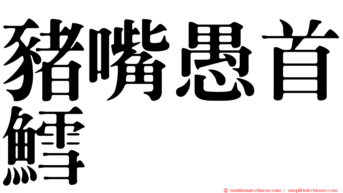 豬嘴愚首鱈