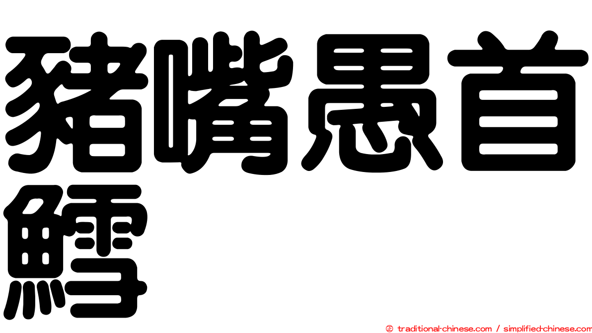 豬嘴愚首鱈