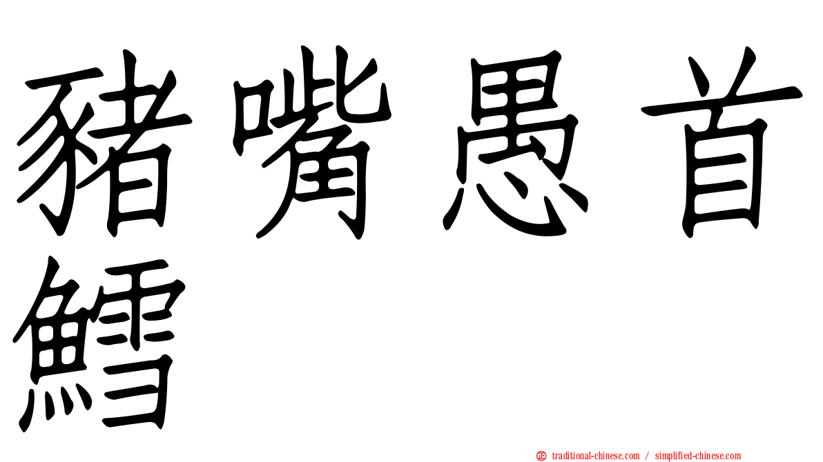 豬嘴愚首鱈