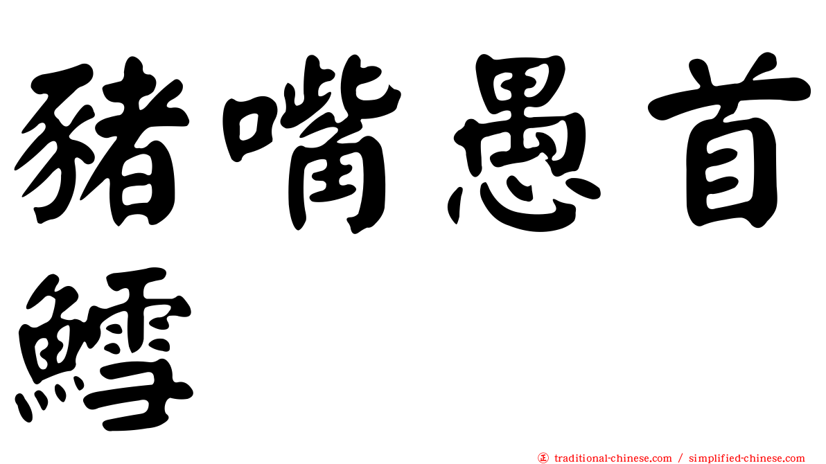 豬嘴愚首鱈