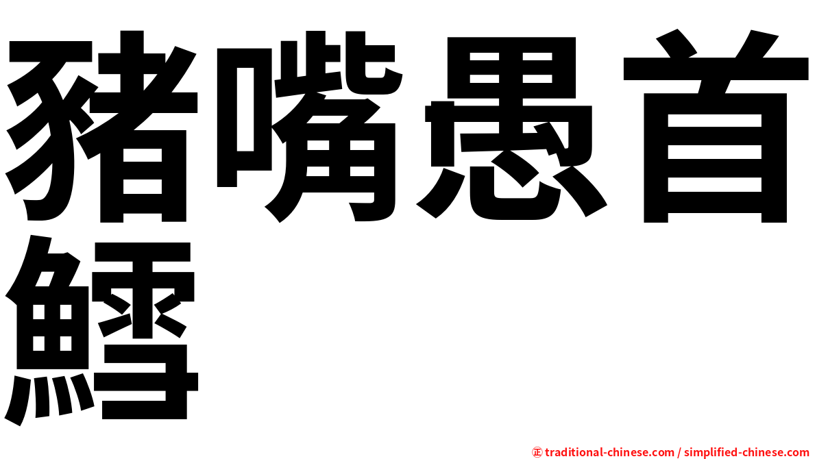 豬嘴愚首鱈