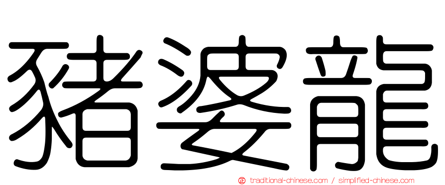 豬婆龍