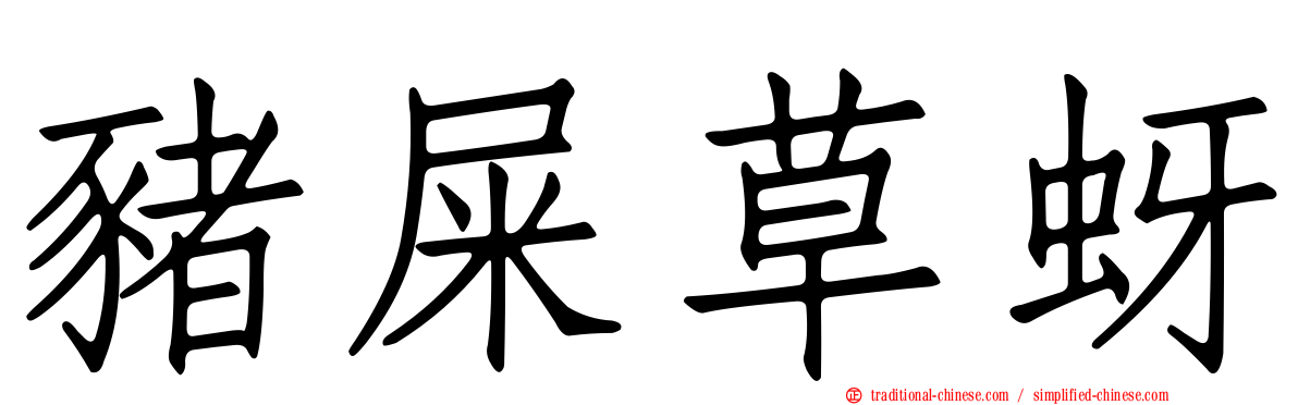 豬屎草蚜