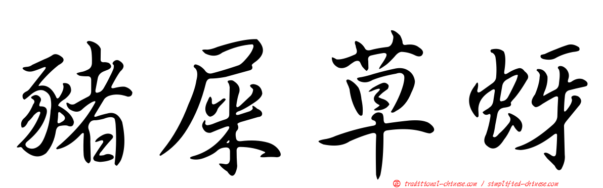 豬屎草蚜