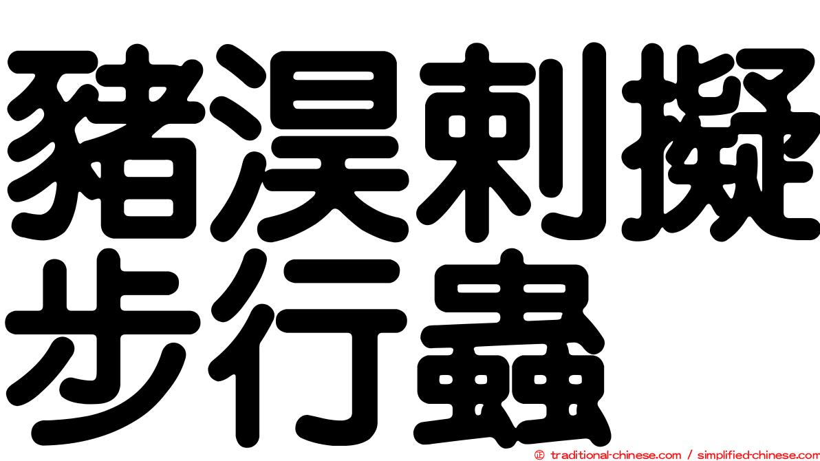 豬淏剌擬步行蟲