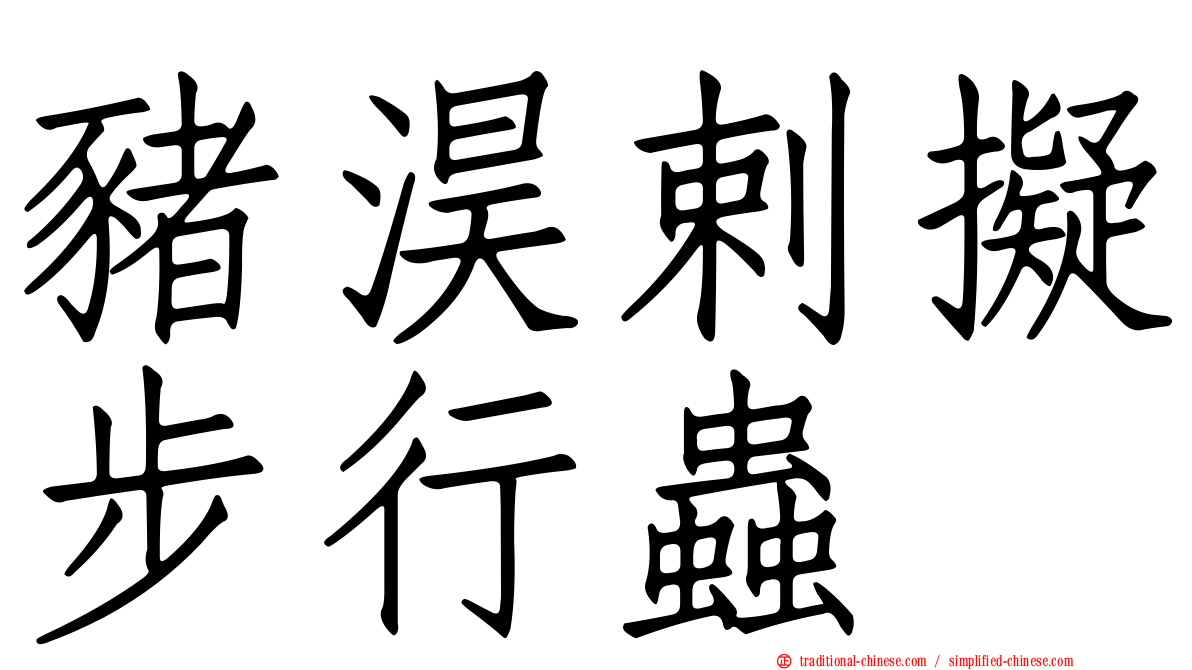 豬淏剌擬步行蟲