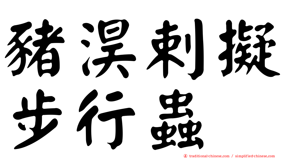 豬淏剌擬步行蟲