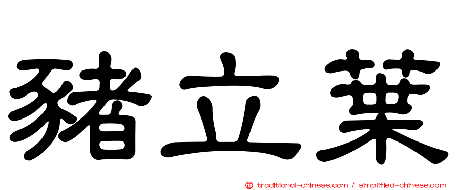 豬立葉