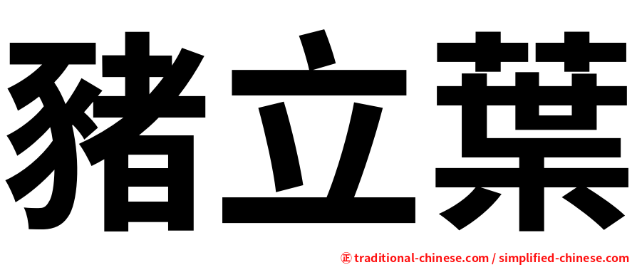 豬立葉