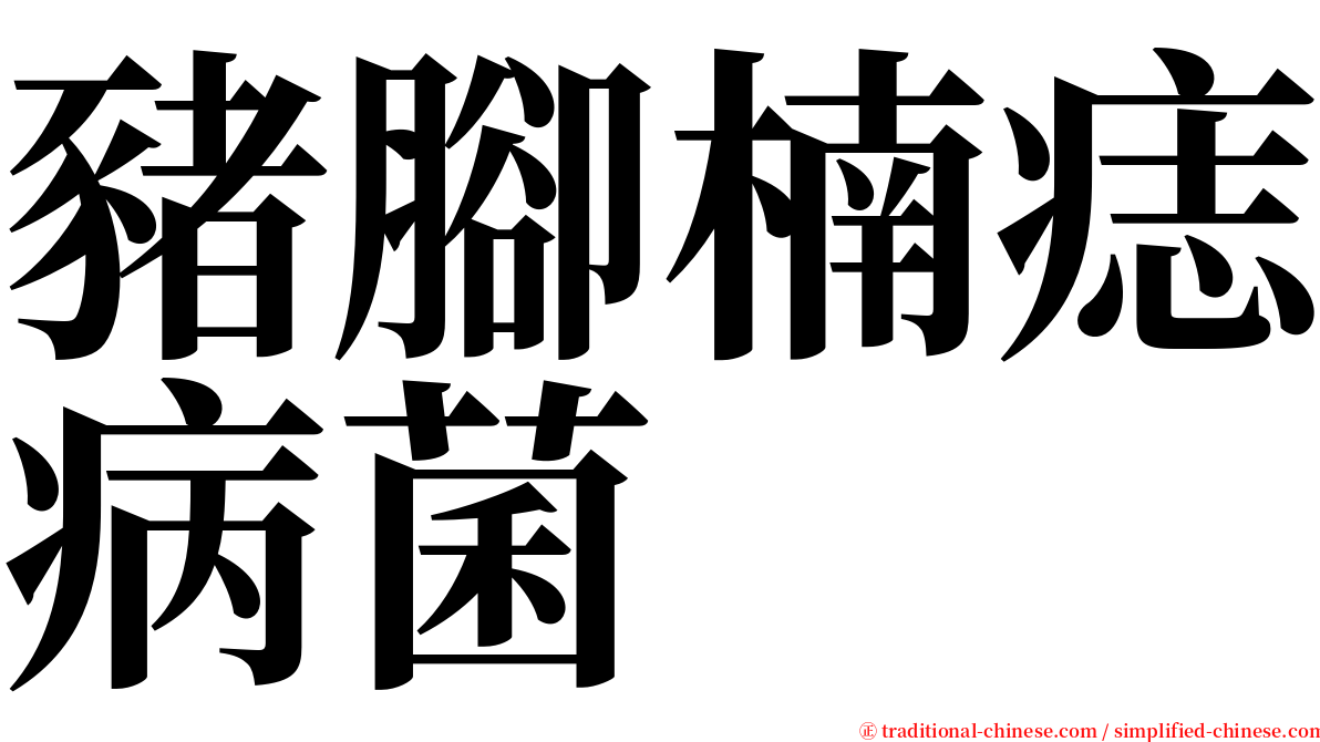 豬腳楠痣病菌 serif font