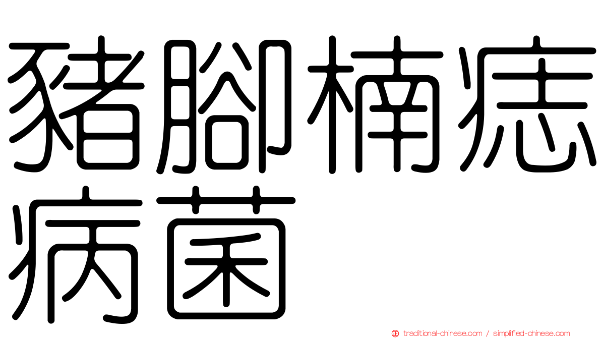 豬腳楠痣病菌