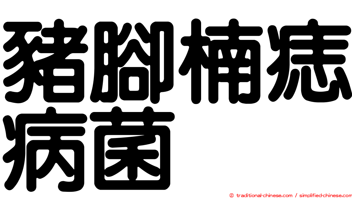 豬腳楠痣病菌