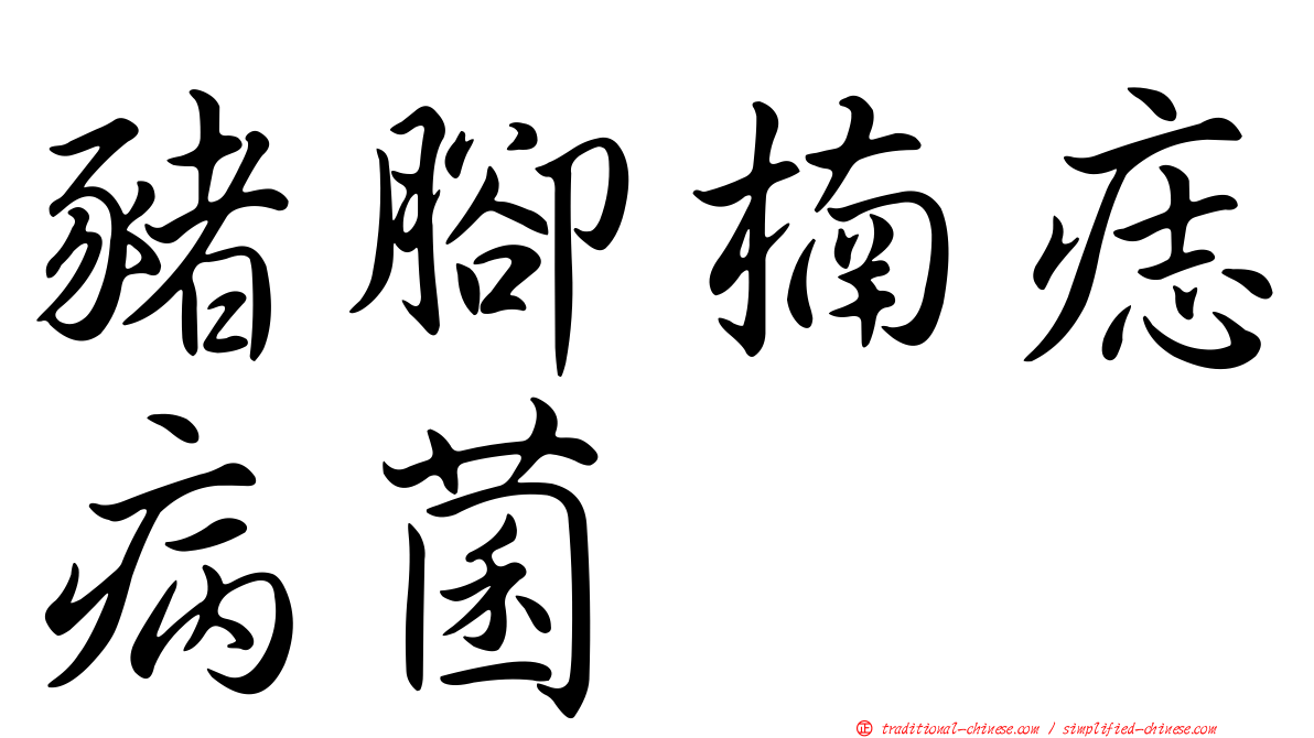 豬腳楠痣病菌