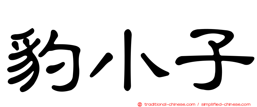豹小子