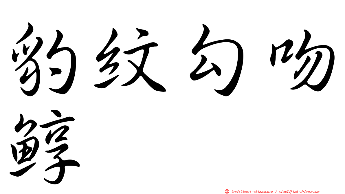 豹紋勾吻鯙