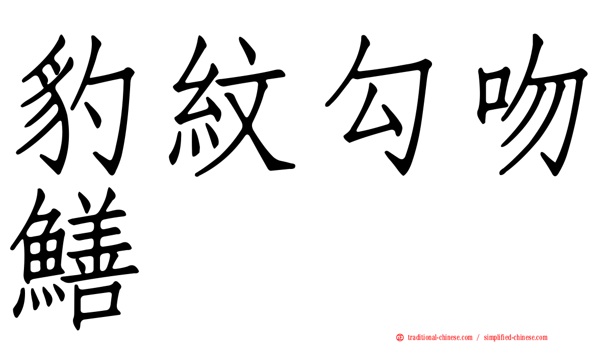豹紋勾吻鱔