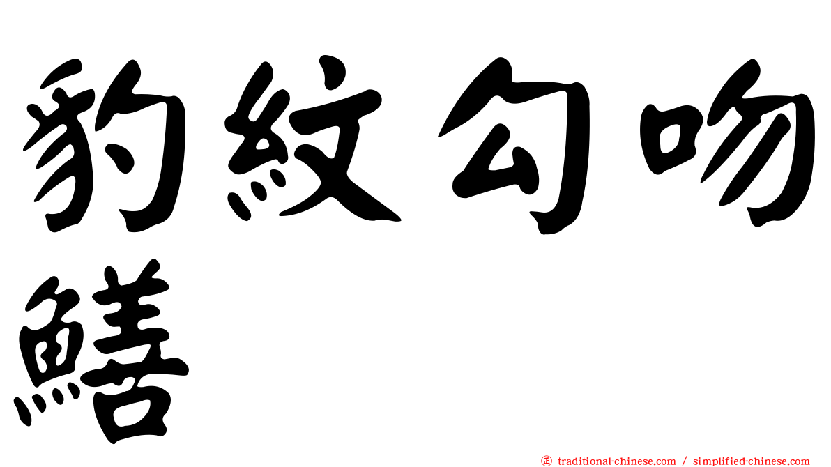 豹紋勾吻鱔