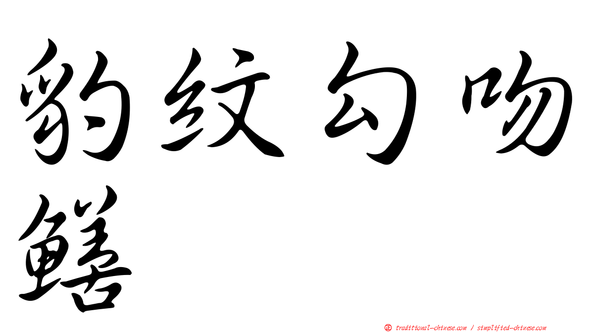 豹紋勾吻鱔