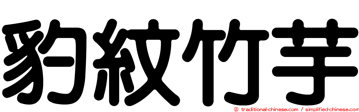 豹紋竹芋