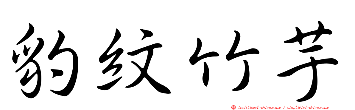 豹紋竹芋