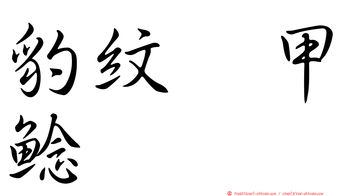 豹紋翼甲鯰