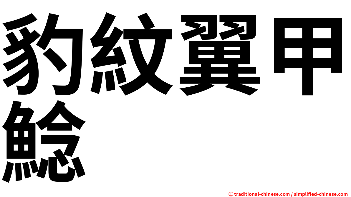 豹紋翼甲鯰