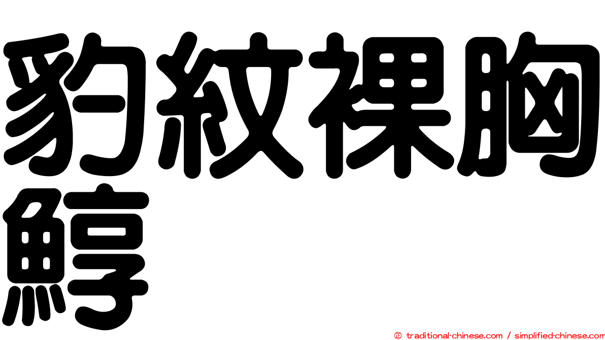 豹紋裸胸鯙