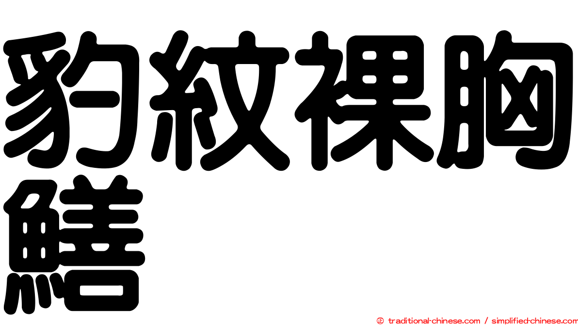 豹紋裸胸鱔