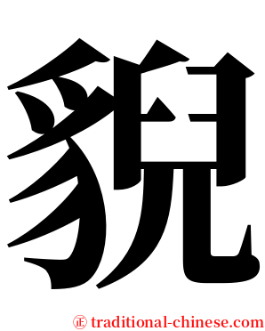 貎 serif font