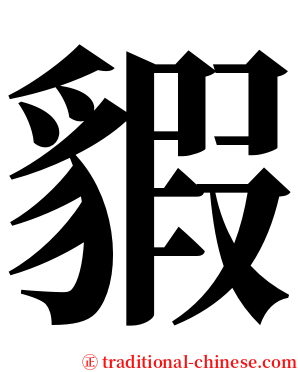 貑 serif font