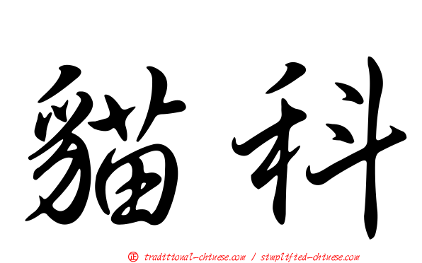 貓科