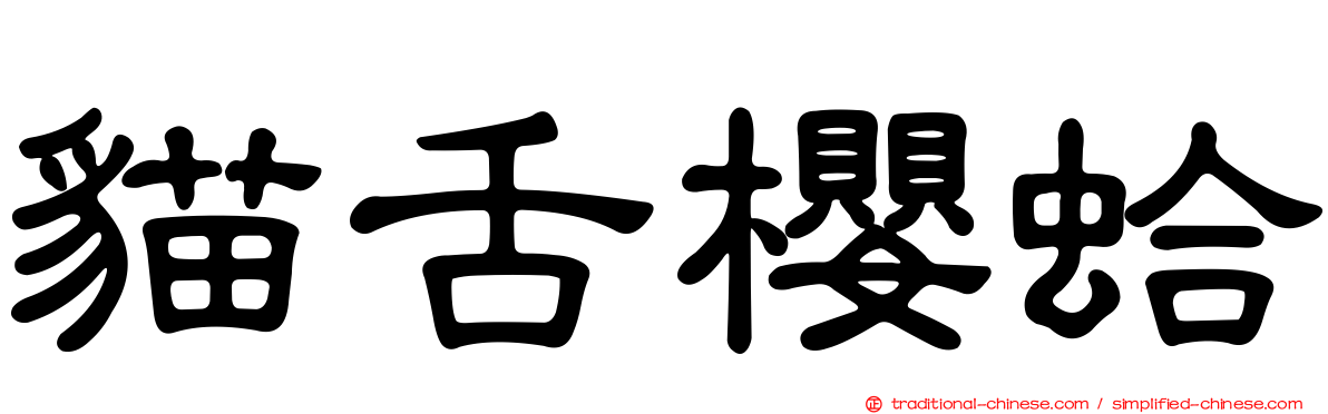 貓舌櫻蛤