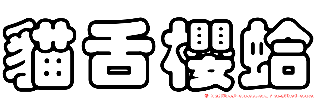 貓舌櫻蛤