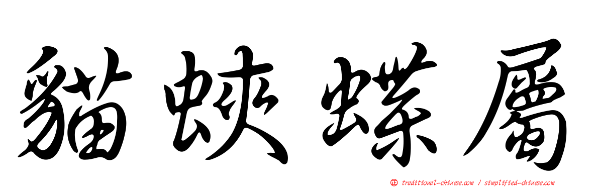 貓蛺蝶屬