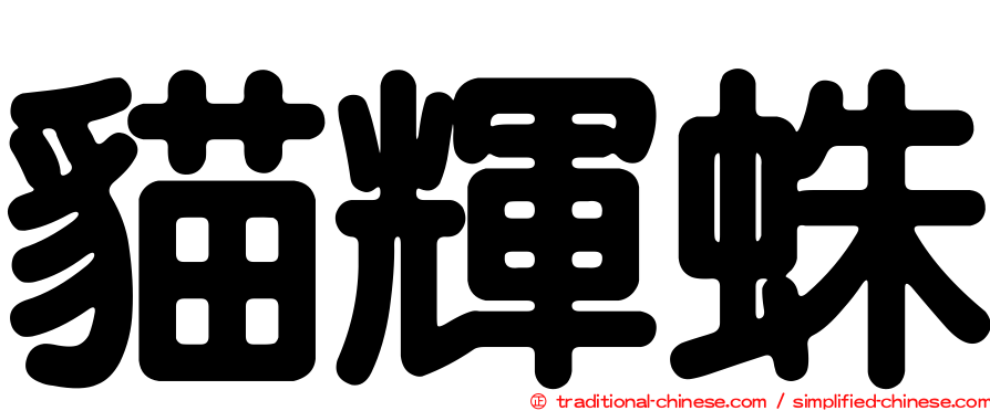 貓輝蛛